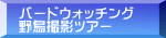 バードウォッチング 野鳥撮影ツアー