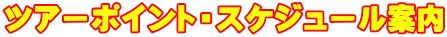 �c�A�[�|�C���g�E�X�P�W���[���ē�